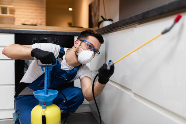Best Affordable Pest Control Services  in Mack, OH