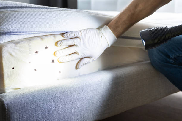 Pest Control for Restaurants in Mack, OH