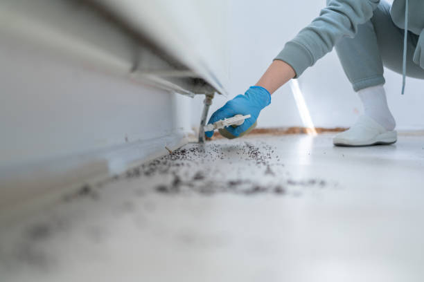 Pest Prevention Services in Mack, OH