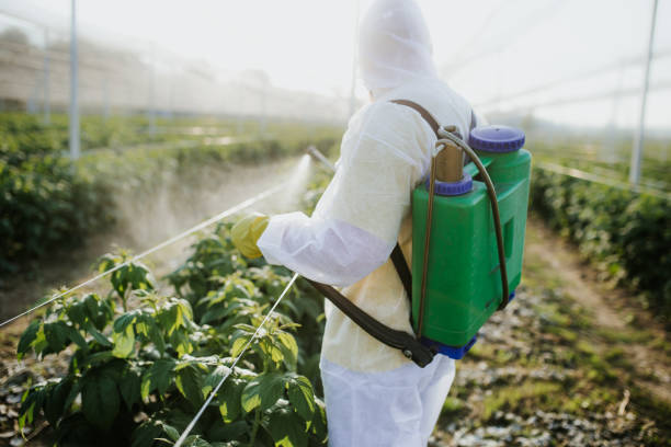 Flea Control Services in Mack, OH
